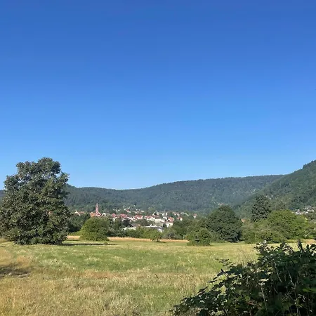 Ein Traum Am Waldrand Bei Heidelberg Apartamento Neckargemünd