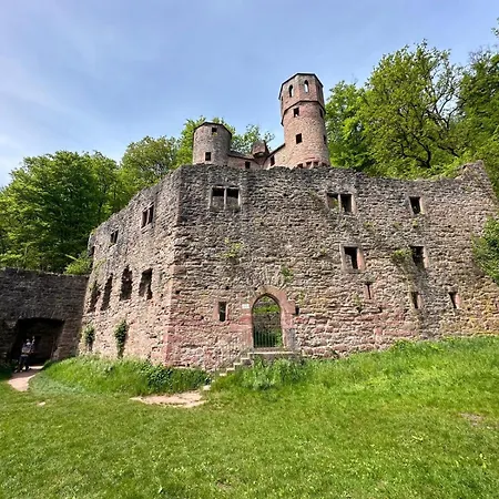 Apartamento Ein Traum Am Waldrand Neckargemünd
