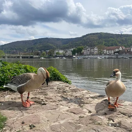 Ein Traum Am Waldrand Bei Heidelberg Apartamento *