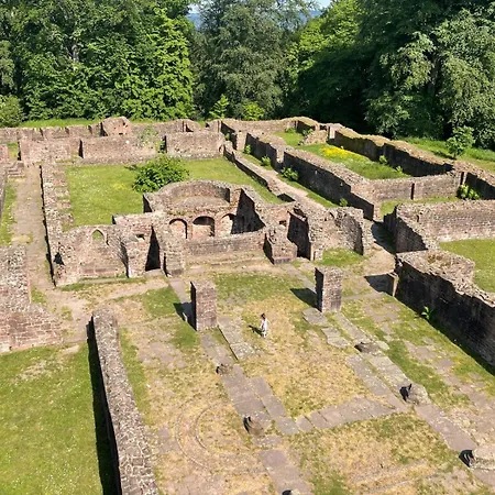 Ein Traum Am Waldrand Apartmán Neckargemünd